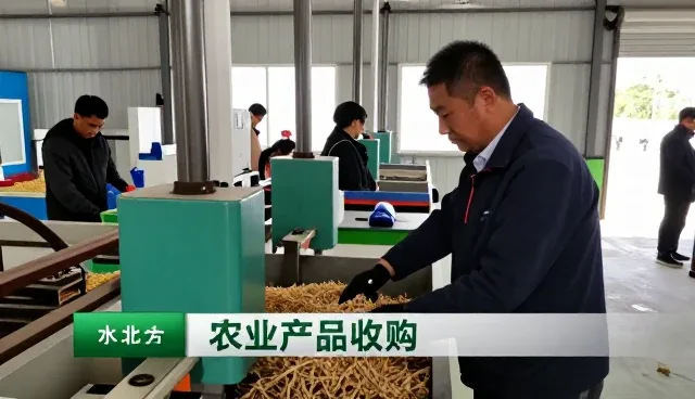 农产品收购提升办公场所使用效率